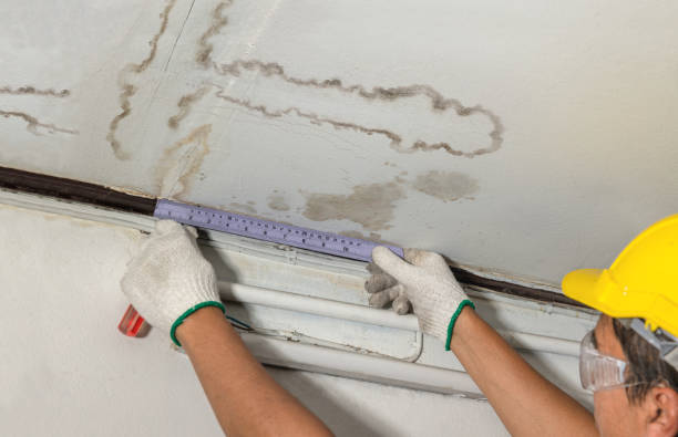 Reliable Water Damage contractor in Middleport, NY by Water Damage Irwin